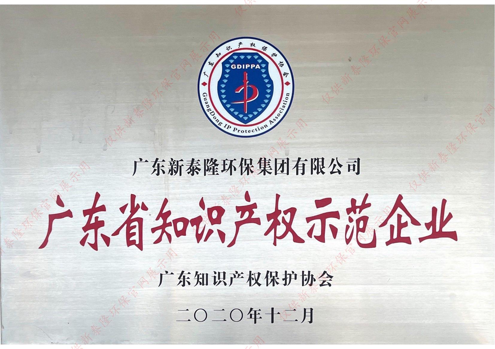 广东省知识产权示范企业